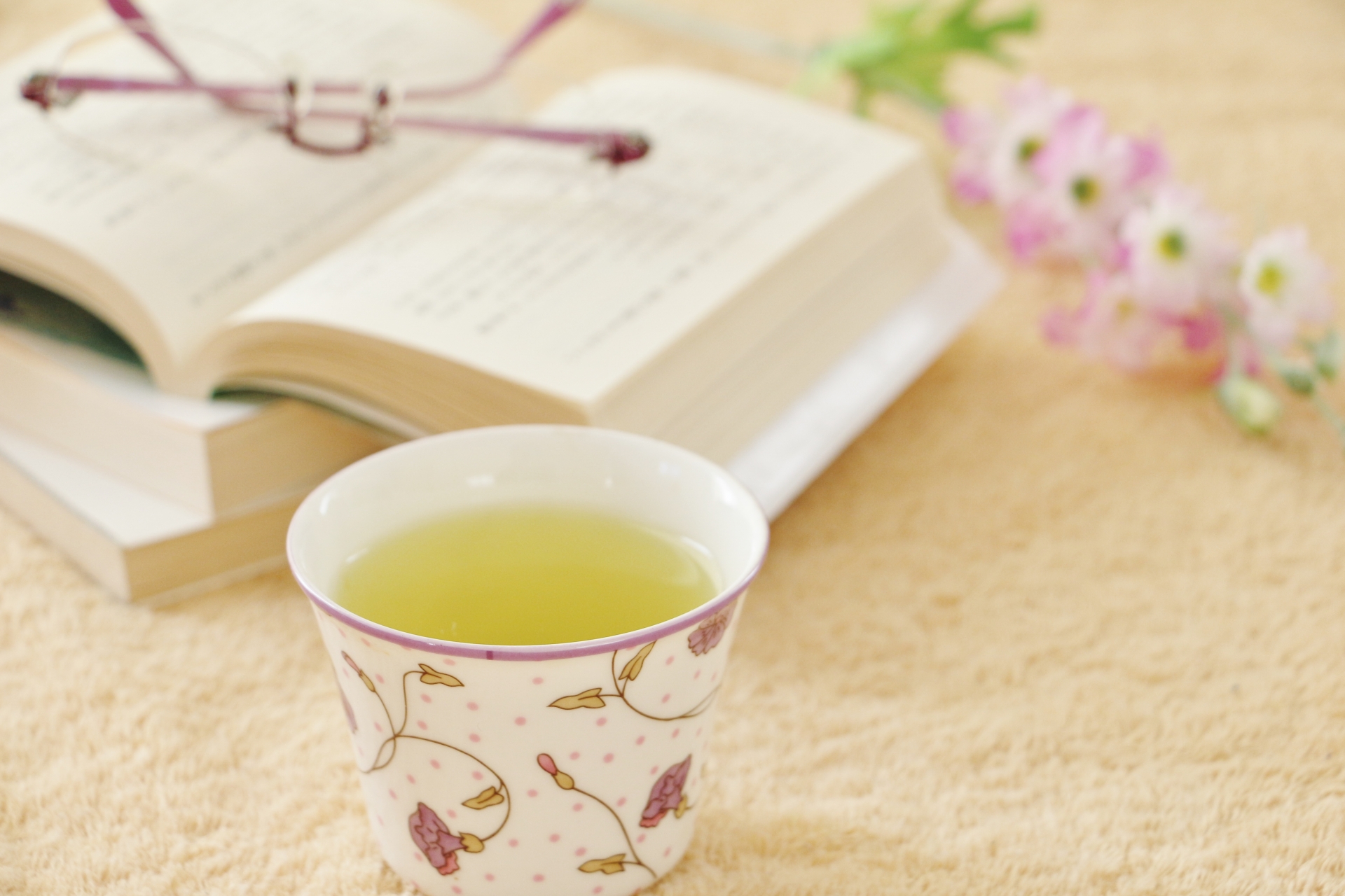 こんなに使える！「茶殻」の活用アイデア3つ