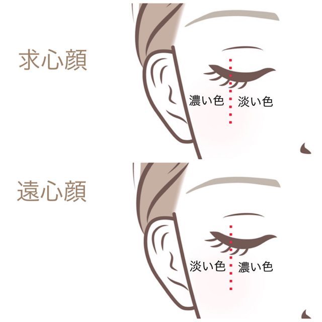 顔のタイプ