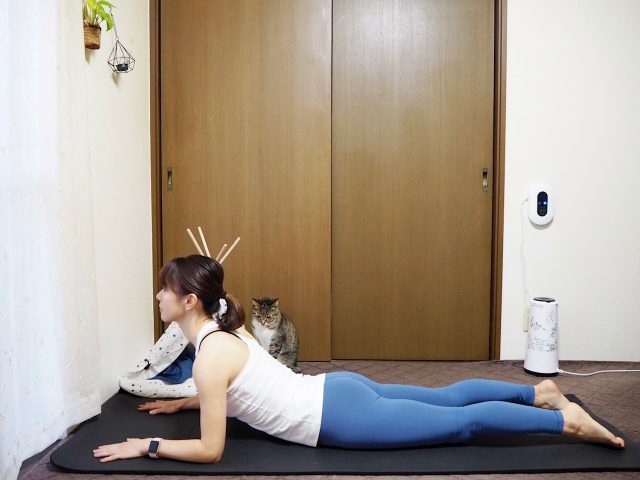 朝の快便ストレッチ