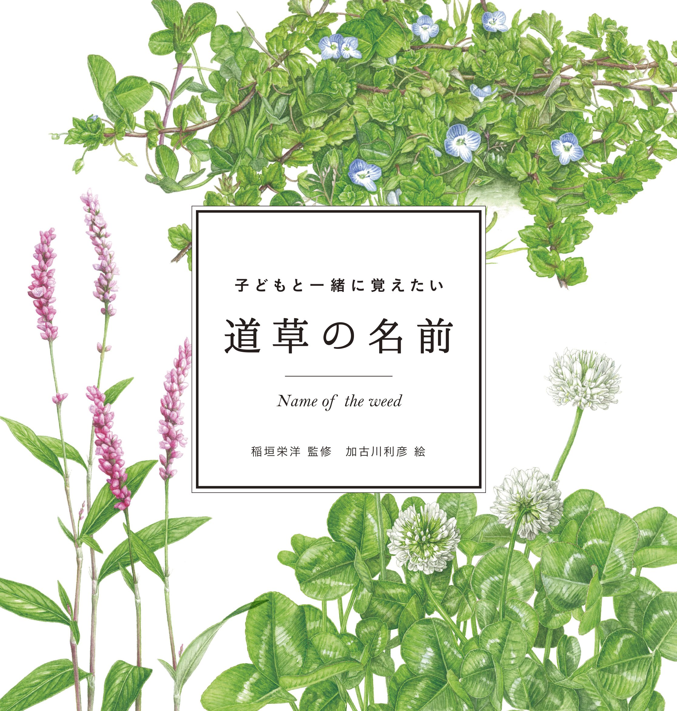 スローな朝の読書にオススメ『子どもと一緒に覚えたい 道草の名前』