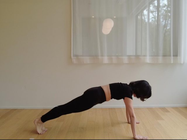 Plank Crunch