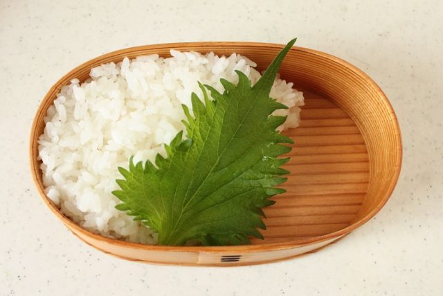 2品弁当の詰め方