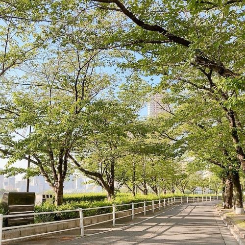 Yukakoさん_朝活