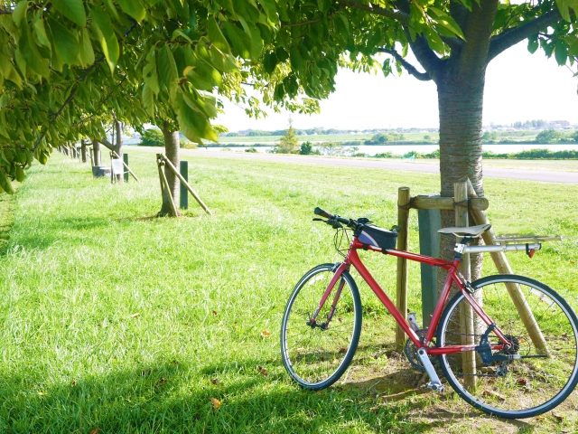 自転車