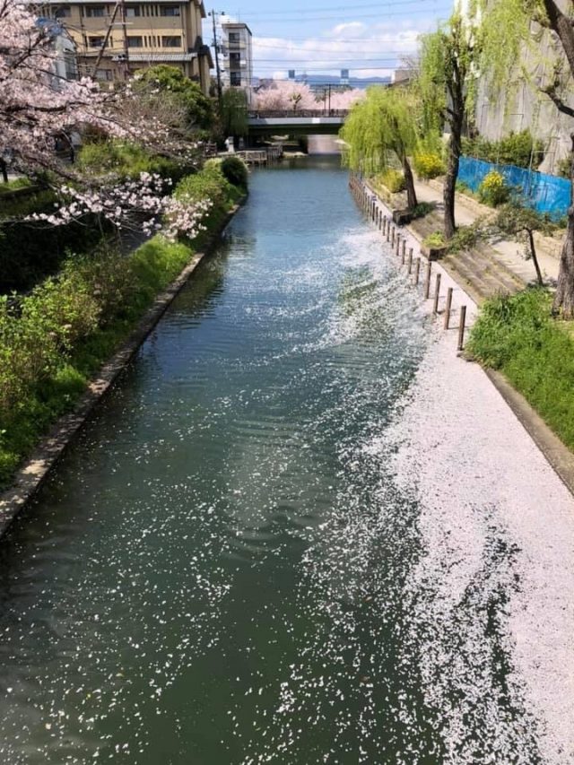 きれいな川