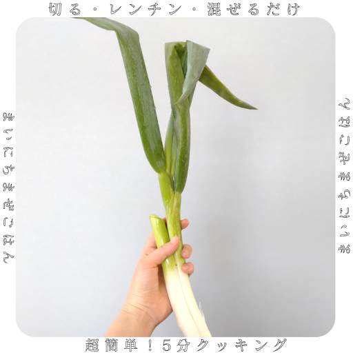 ねぎ