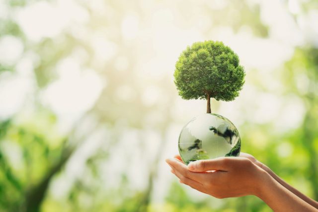 英語「サステナブル（Sustainable）」の意味って？