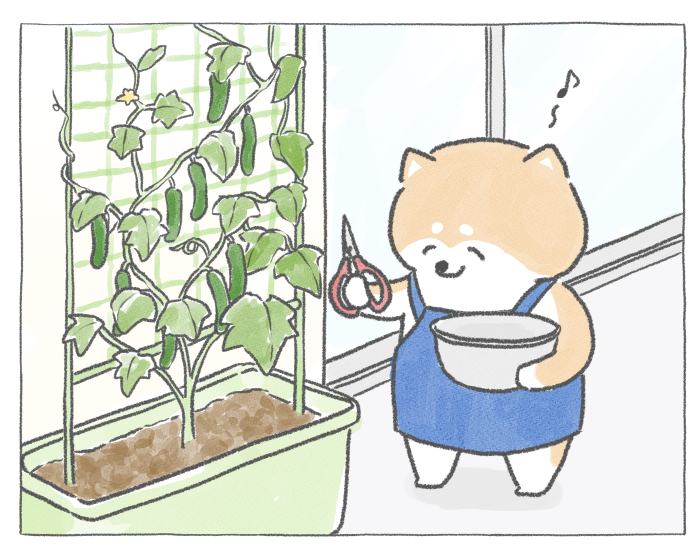 【四コマ漫画】vol.36「朝採り野菜」｜おはよう！おしばと愉快な仲間たち