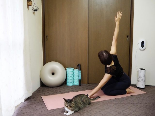 上半身を内側・外側にねじるストレッチ(4)