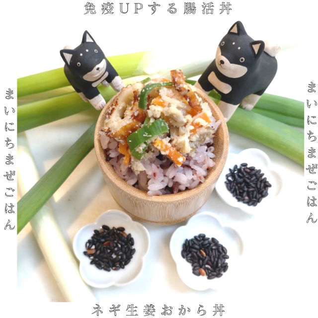ねぎしょうがおから丼