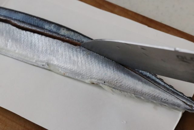 サンマ