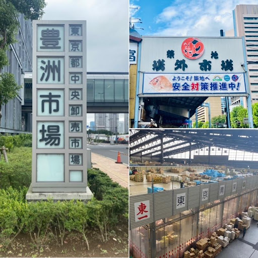 豊洲市場