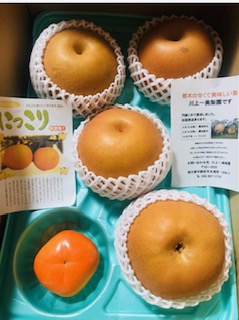 梨