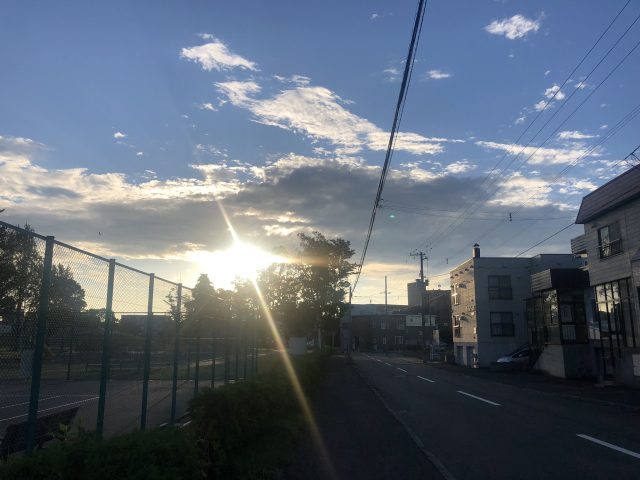 朝