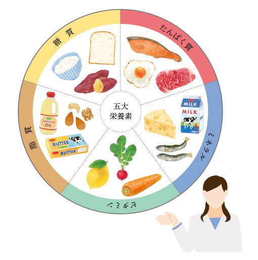 栄養の図
