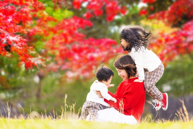 紅葉のイメージ