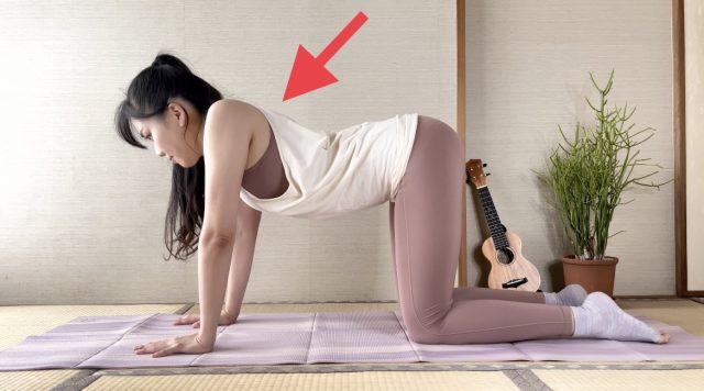 テイルワグ