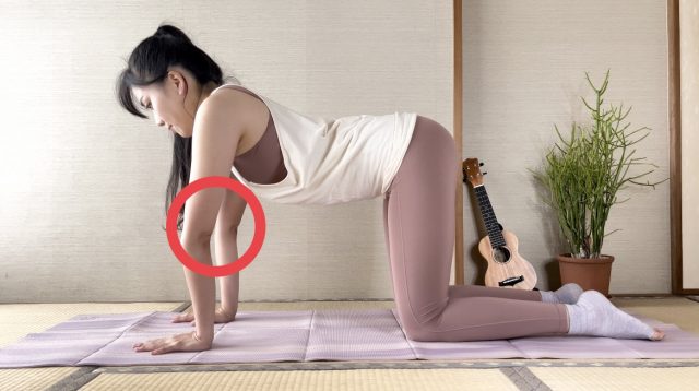 テイルワグ