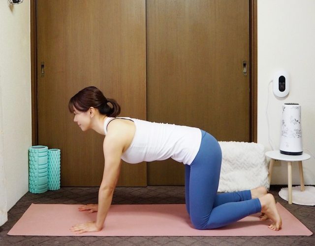 顔色を自然にトーンアップさせる簡単なストレッチ 四つ這い
