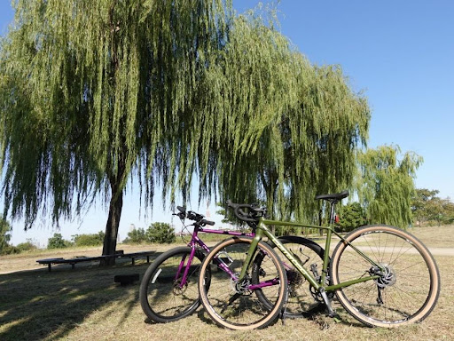 自転車