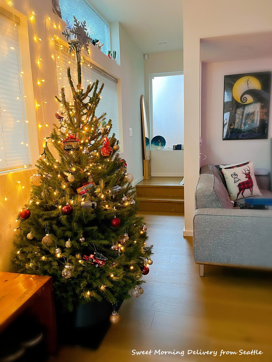 生のもみの木でクリスマスツリー
