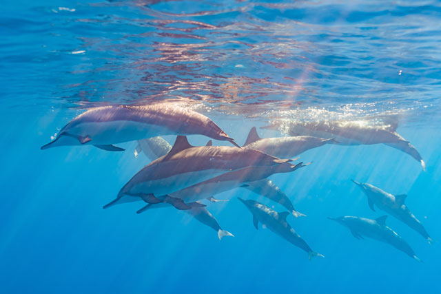 水族館