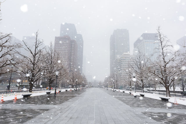 雪が降る街