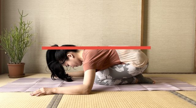 ピラティスアレンジ「スワン」