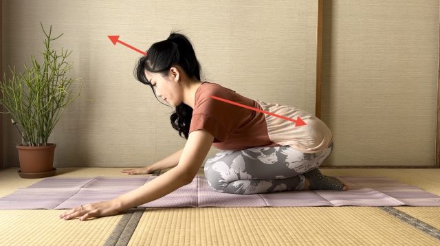 ピラティスアレンジ「スワン」