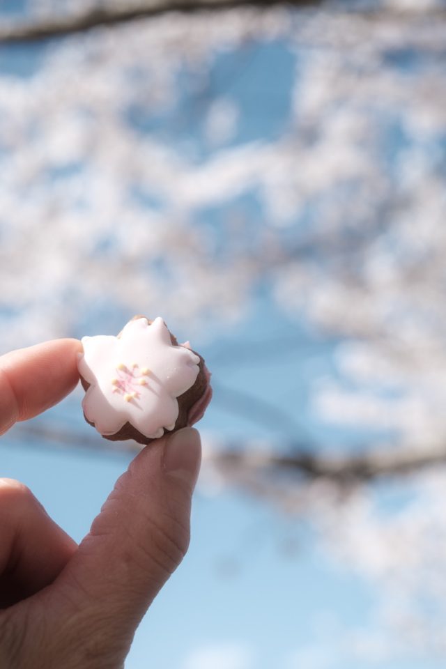 桜