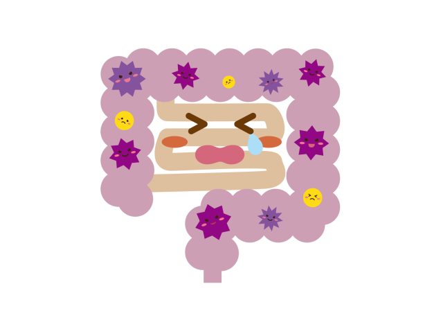 腸のイラスト