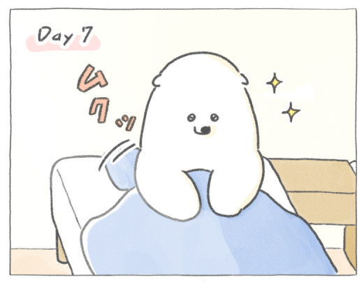 【四コマ漫画】vol.66 待ちきれない♪「ザワークラウト」｜おはよう！おしばと愉快な仲間たち