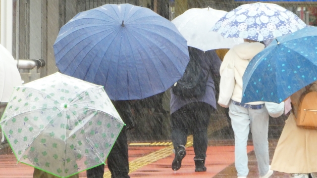 雨