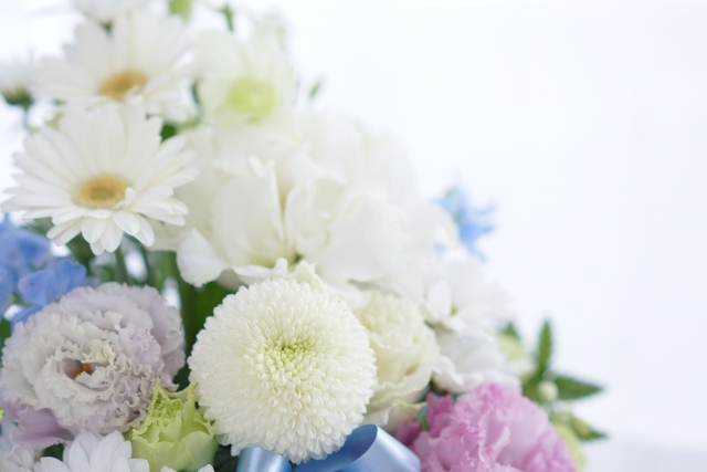 白いお花