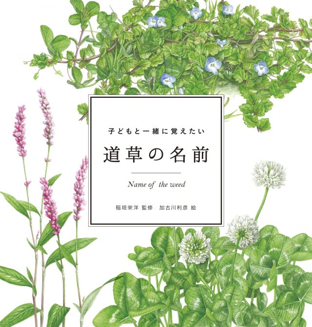 気持ちいい朝の読書リスト。自然のなかを散歩したくなる本、オススメ2冊