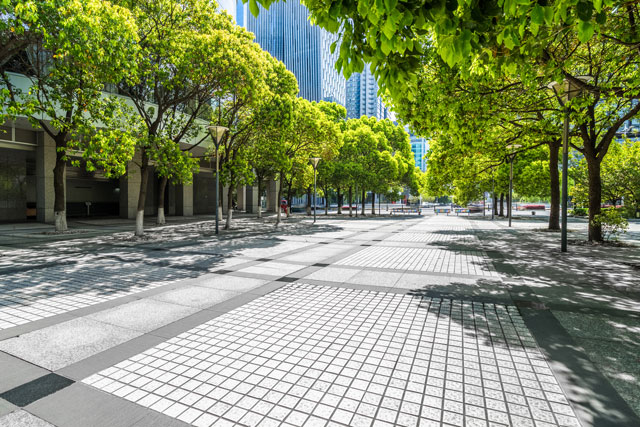 街路樹