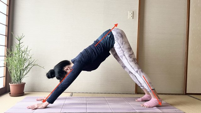 ダウンドッグ