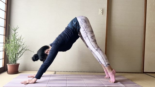 ダウンドッグ
