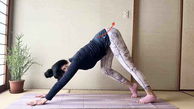 ダウンドッグ