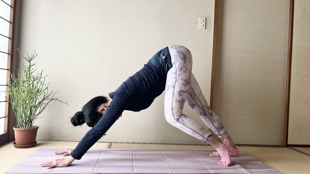 ダウンドッグ