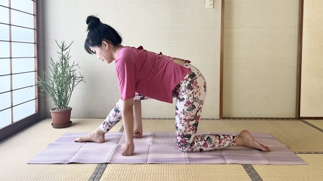 ハムストリング・キャットストレッチ