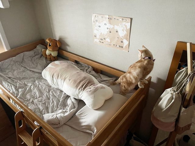 クッカヤプー 抱き枕