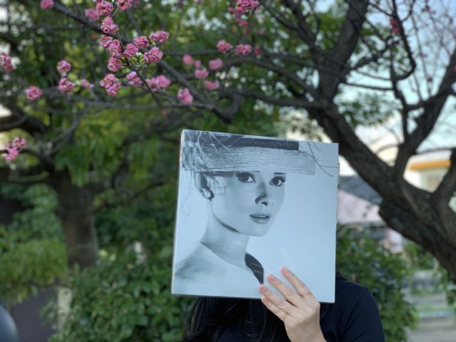 おーどりーさんプロフィール