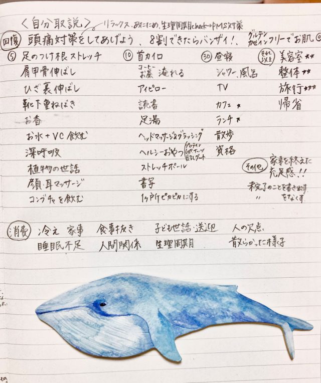自分取説
