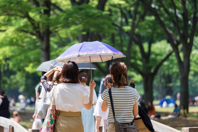 日傘