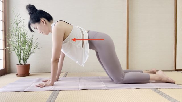 プッシュアップ・アレンジ