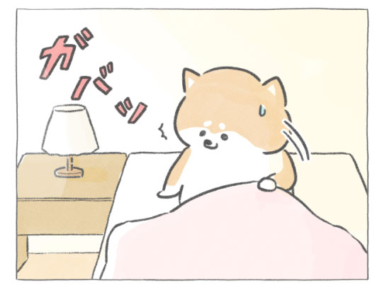 【四コマ漫画】vol.87 「アサガオ」｜おはよう！おしばと愉快な仲間たち