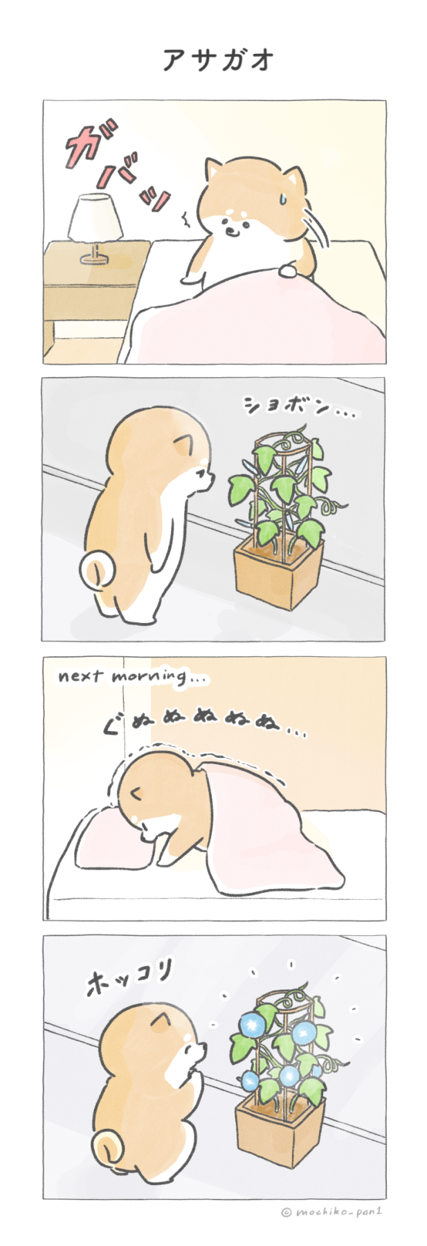 【四コマ漫画】vol.87 「アサガオ」｜おはよう！おしばと愉快な仲間たち