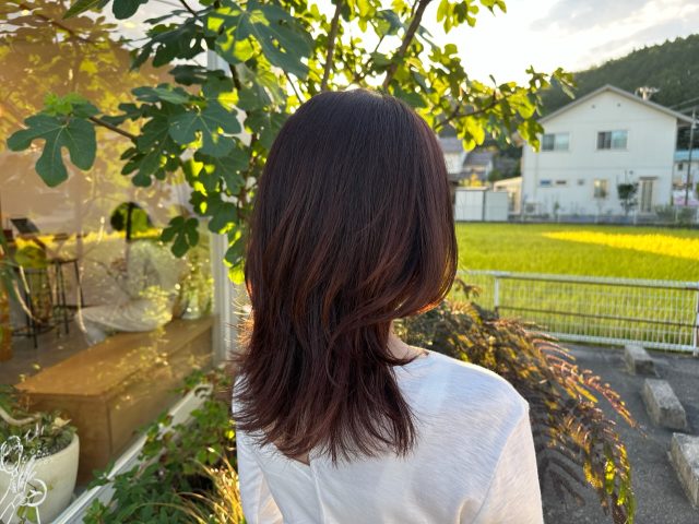 秋のヘアカラー1