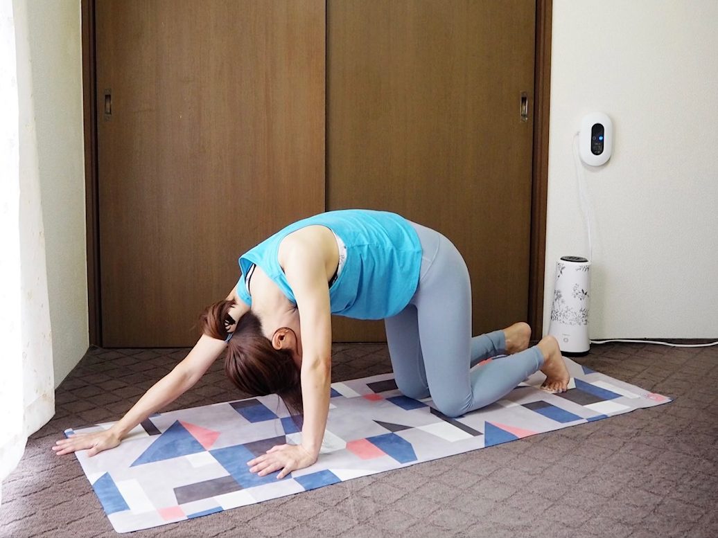【手は突き出た脳！】疲れやストレスを感じた時におすすめ「手と腕」のストレッチ